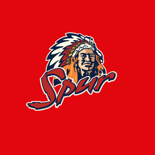 Spur Salad & French Fry Dressing 500ml