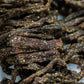 Biltong Teething Sticks (5-Spices, Gluten & MSG, and Sugar free)