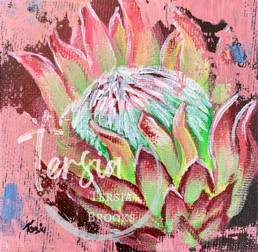 Pink Protea